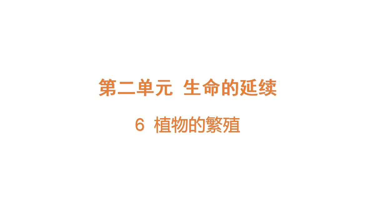 18711248第1页