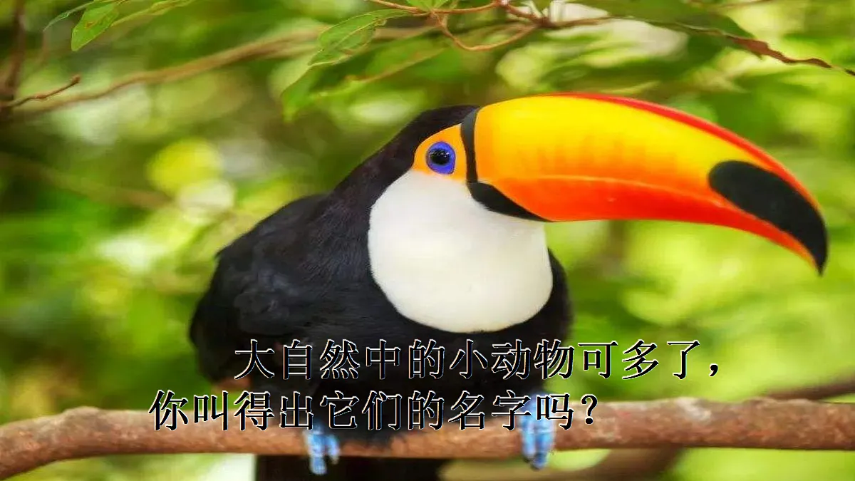 18717888第2页