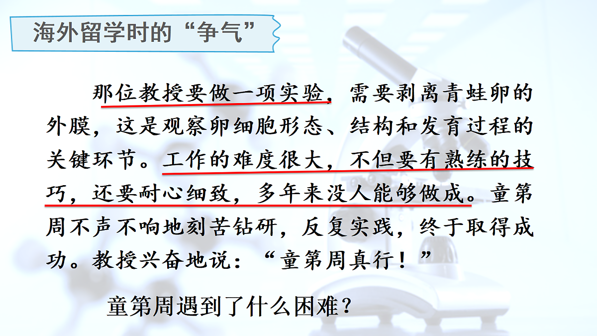 18717917第7页