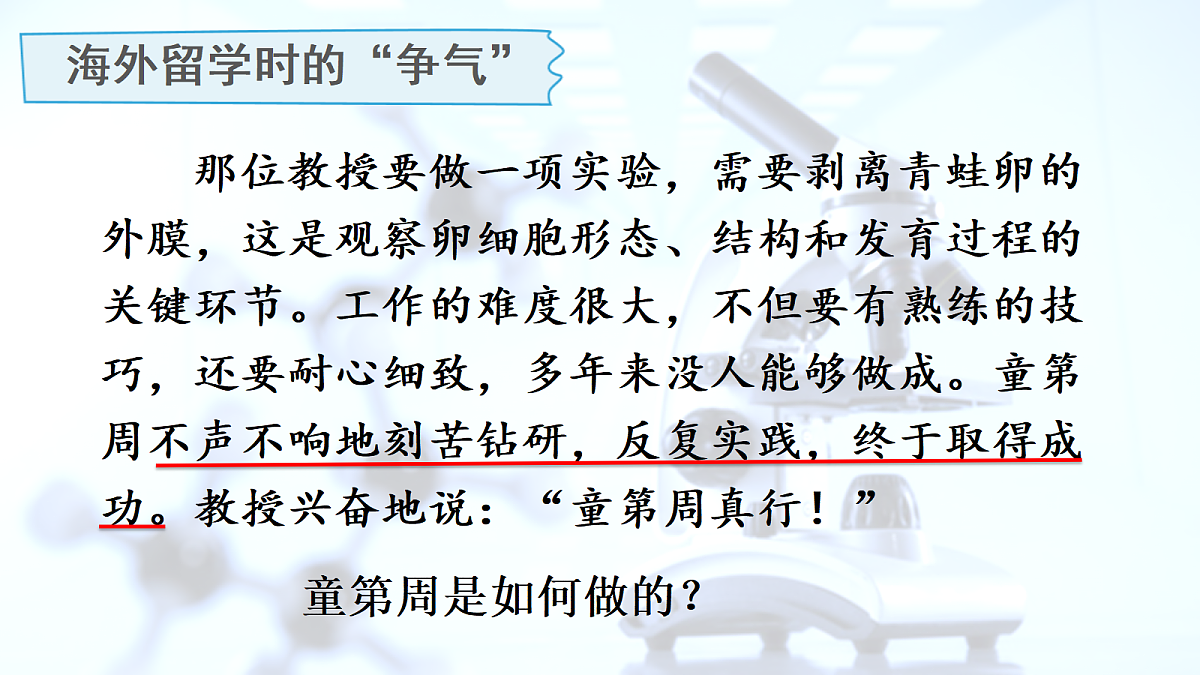 18717917第8页