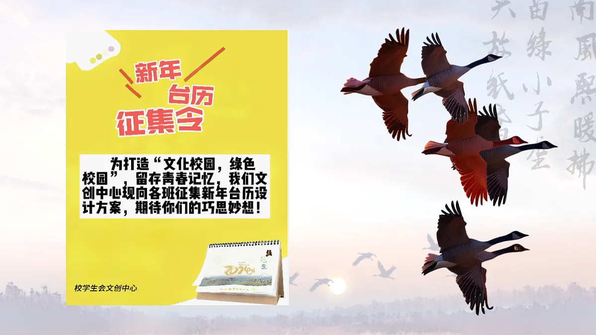 给大雁做一张月历，给自己种一颗敬畏——部级精品课《大雁归来》赏析第4页