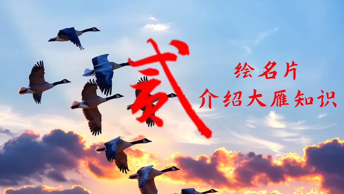 给大雁做一张月历，给自己种一颗敬畏——部级精品课《大雁归来》赏析第6页