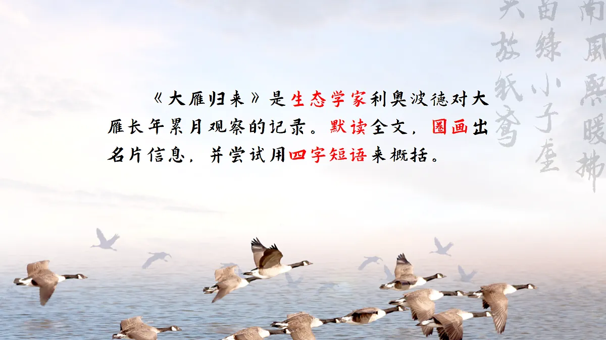 给大雁做一张月历，给自己种一颗敬畏——部级精品课《大雁归来》赏析第8页