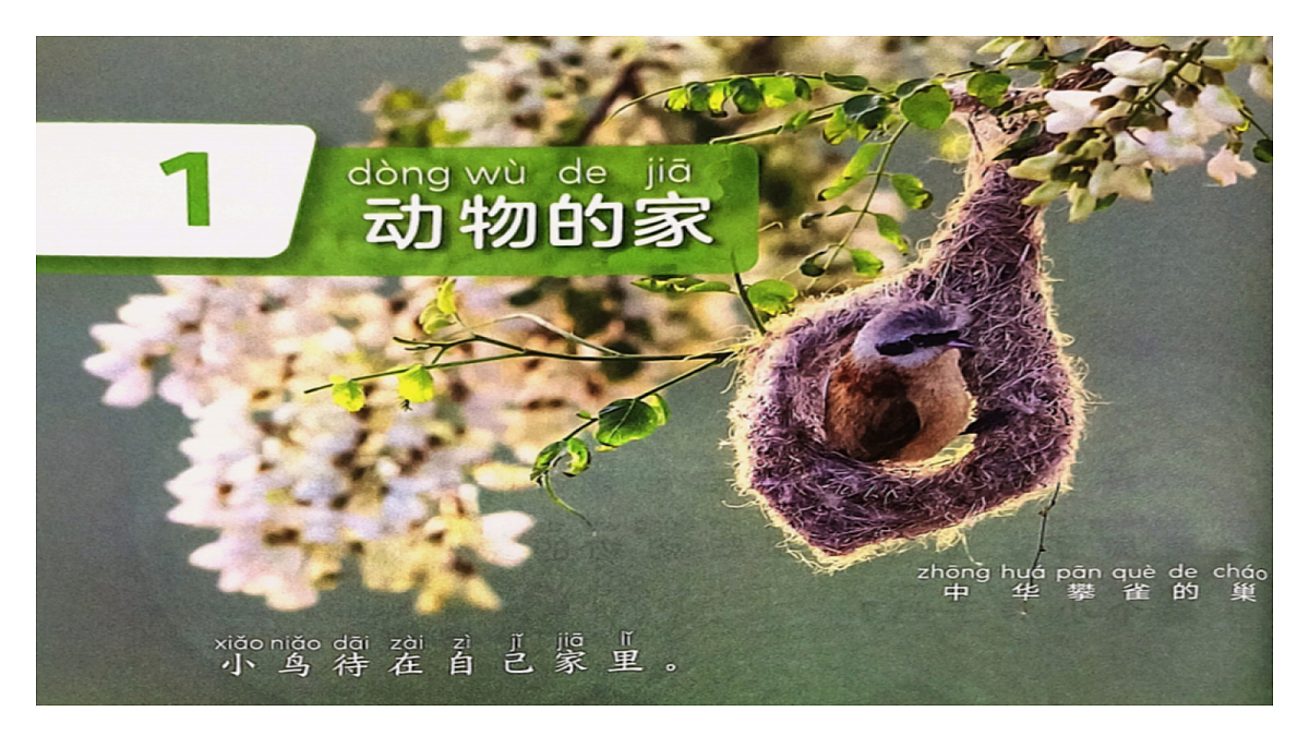 18724885第3页