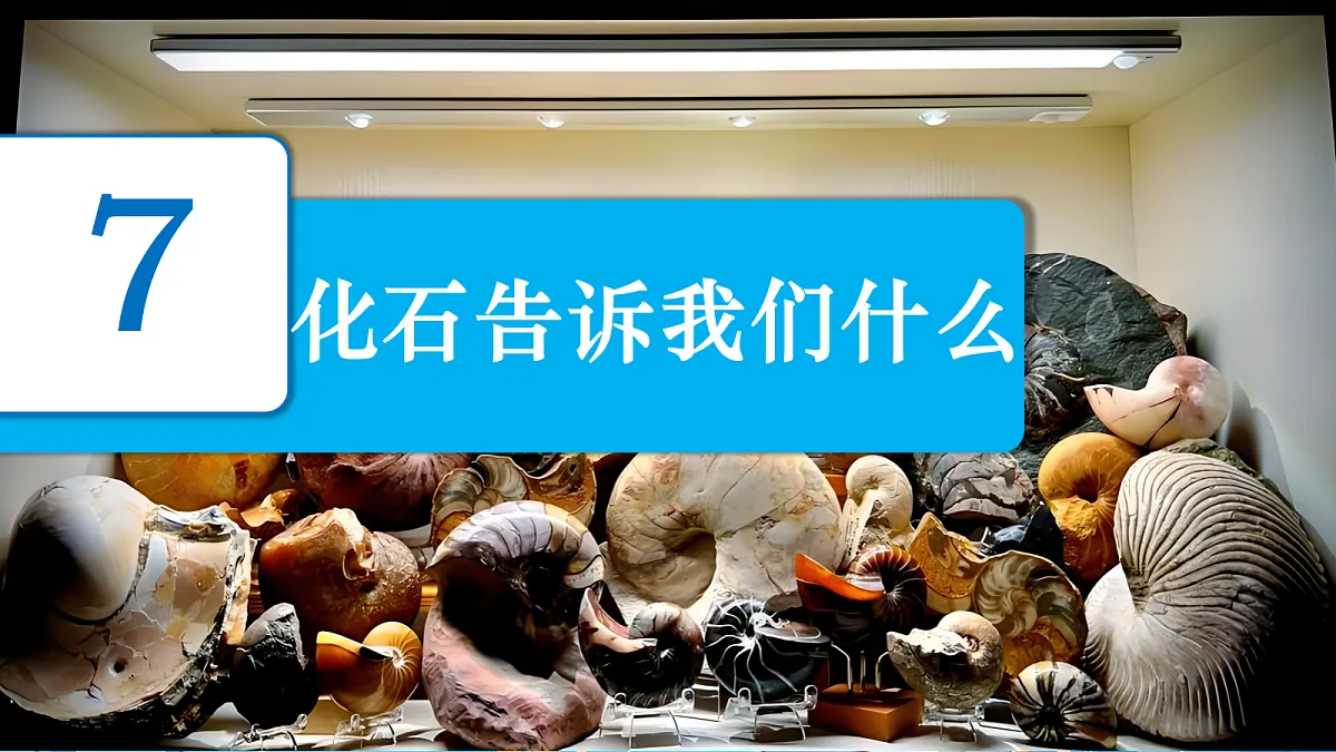 18729683第2页