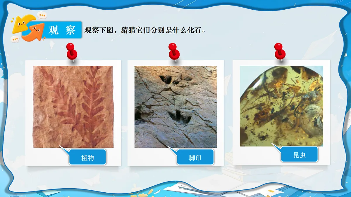 18729683第3页
