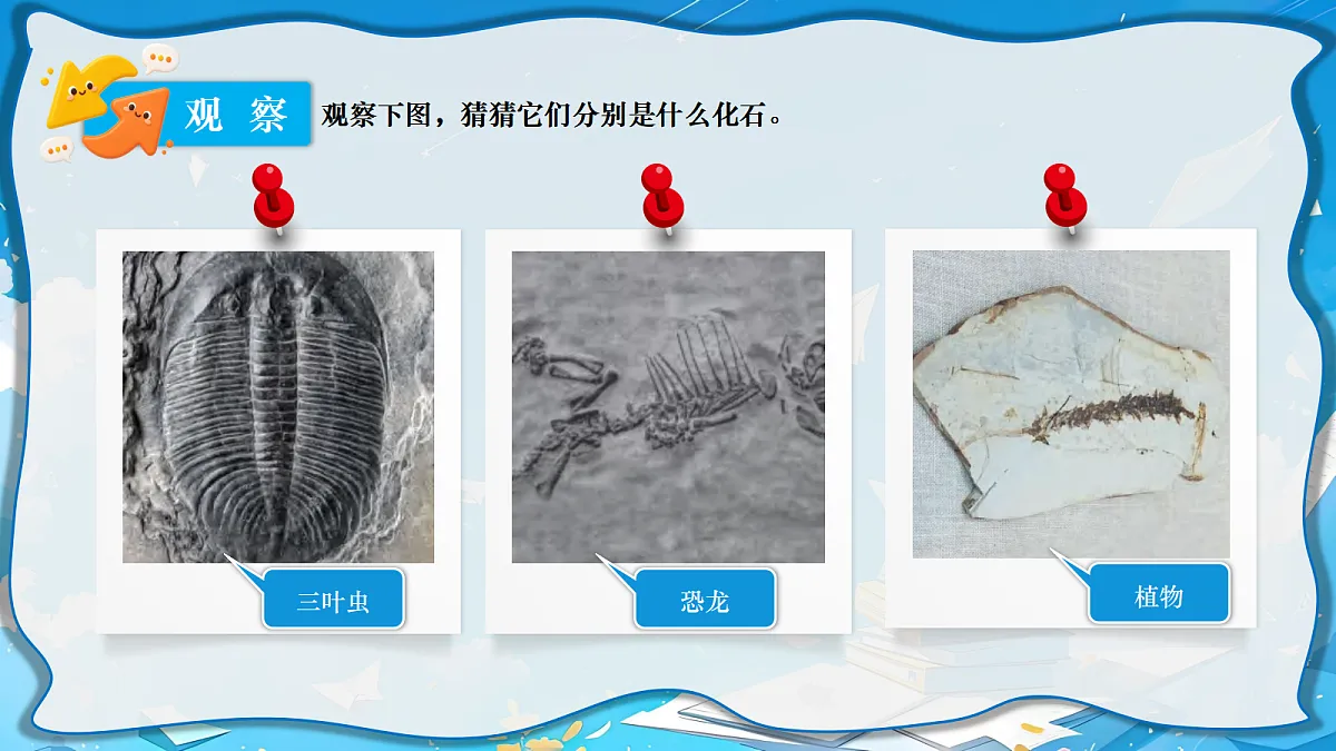 18729683第4页