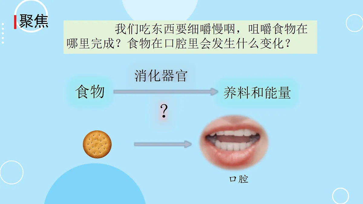 5.口腔里的消化第3页