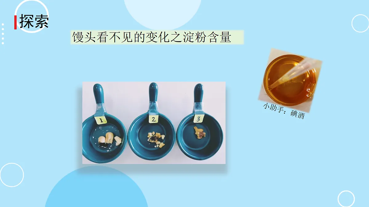 5.口腔里的消化第7页