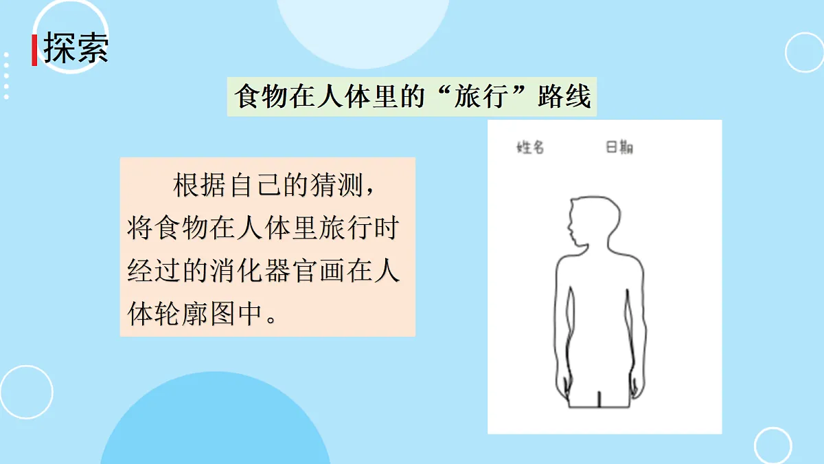 7.食物在身体里的旅行第3页