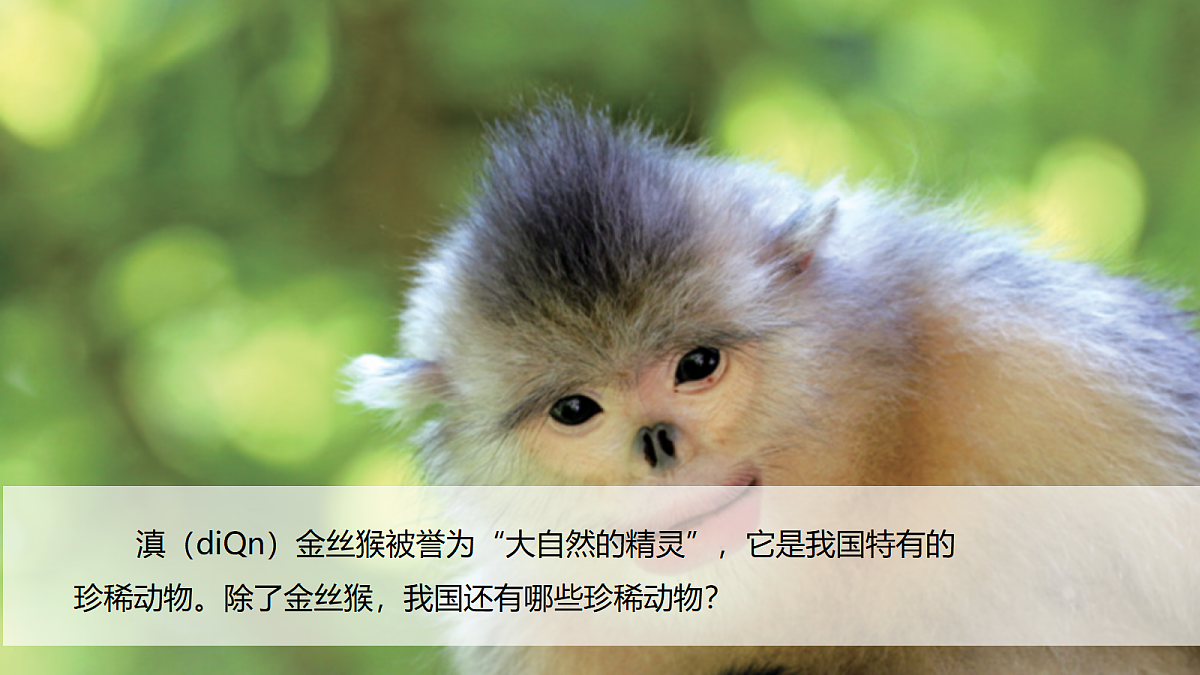 18732326第2页
