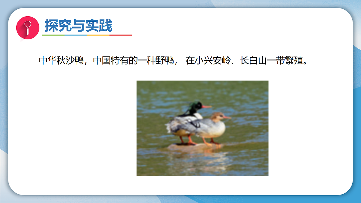 18732326第4页
