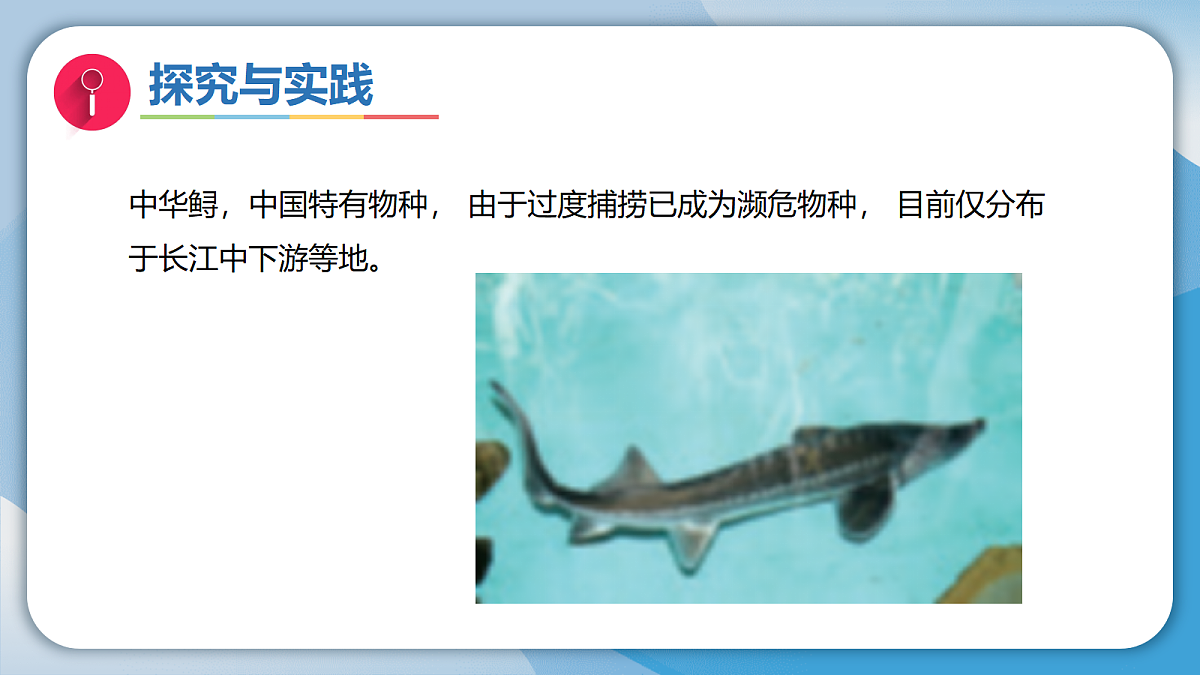 18732326第5页