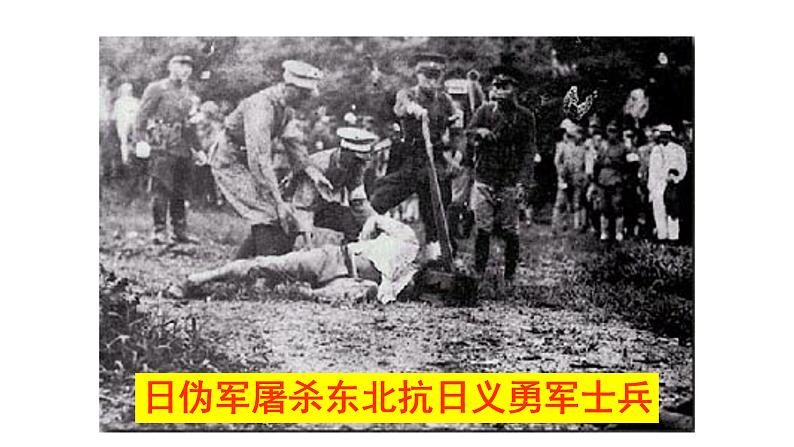 7、《土地的誓言》课件07