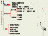 第1课第2框信用卡、支票和外汇 课件