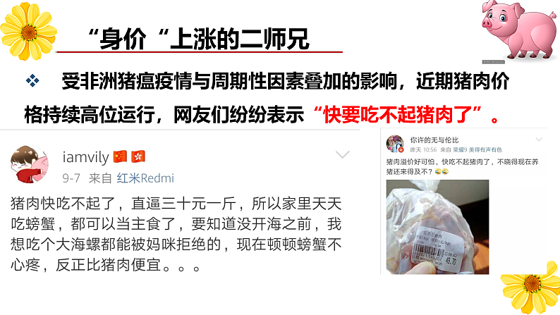 （最新）第2课第2框价格变动的影响 课件03