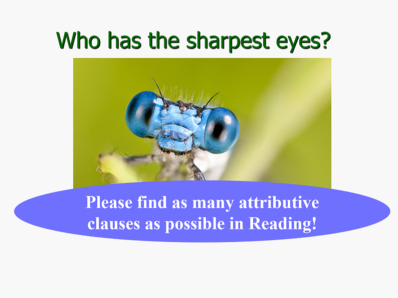 高考语法课件——定语从句04