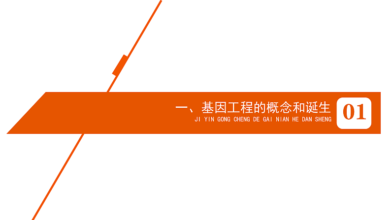 1.1DNA重组技术的基本工具-1第3页