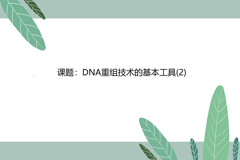 1.1DNA重组技术的基本工具-2第1页