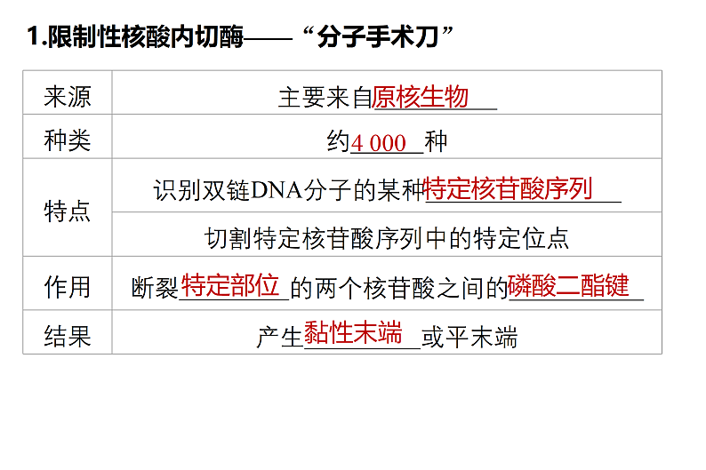 1.1DNA重组技术的基本工具-2第4页