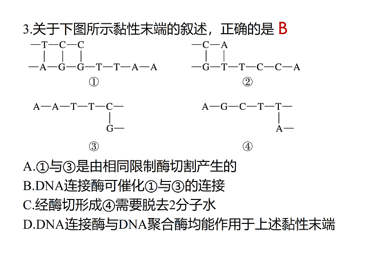 1.1DNA重组技术的基本工具-2第8页