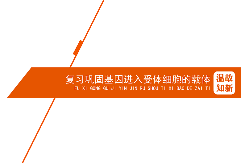 1.2基因工程基本操作程序-1第3页