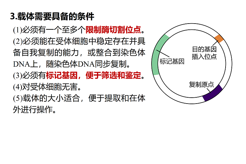 1.2基因工程基本操作程序-1第6页