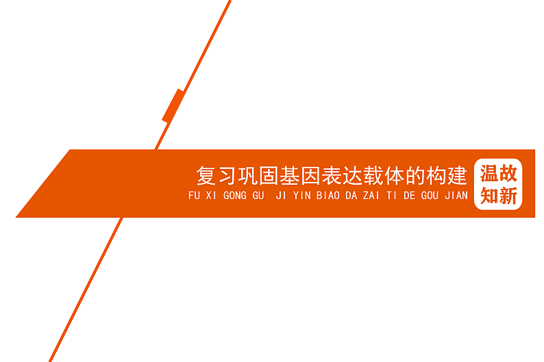 1.2基因工程基本操作程序-3第3页