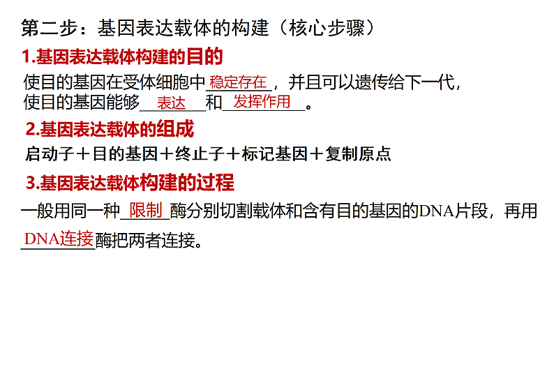 1.2基因工程基本操作程序-3第4页