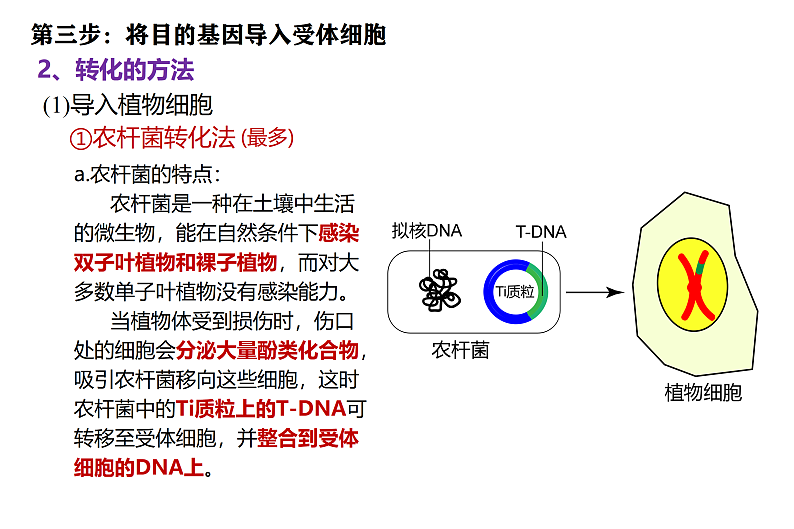 1.2基因工程基本操作程序-3第7页