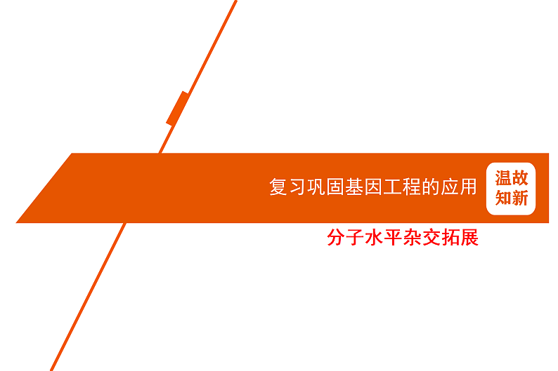 1.4基因检测与蛋白质工程第3页