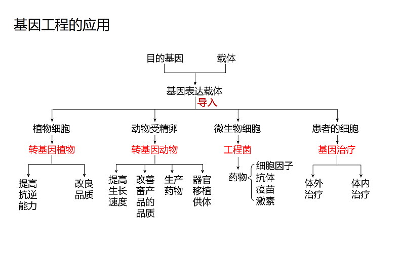 1.4基因检测与蛋白质工程第4页