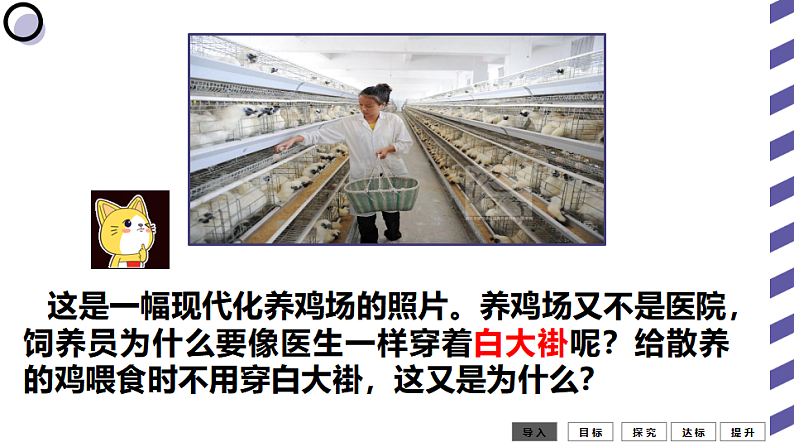 人教版八年级生物上册  5.4.1细菌和真菌的分布（35张PPT）01