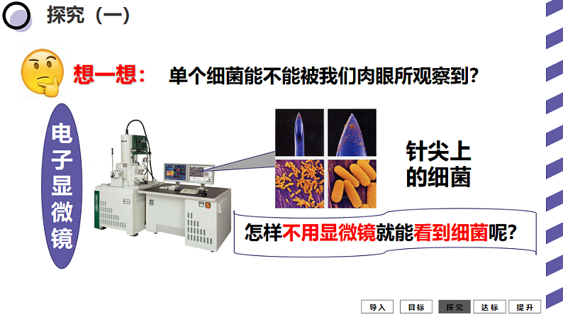 人教版八年级生物上册  5.4.1细菌和真菌的分布（35张PPT）04
