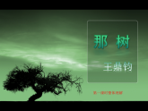 北师大版九年级下册第三单元比较与探究之《那树》课件 (共41张PPT)