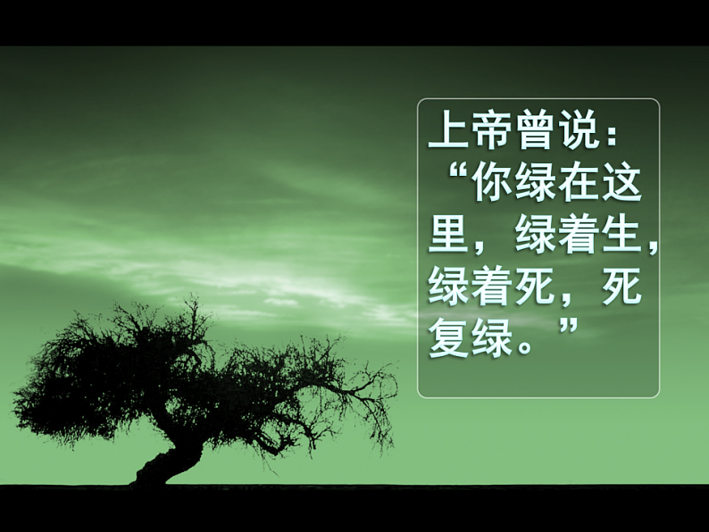 北师大版九年级下册第三单元比较与探究之《那树》课件 (共41张PPT)第2页