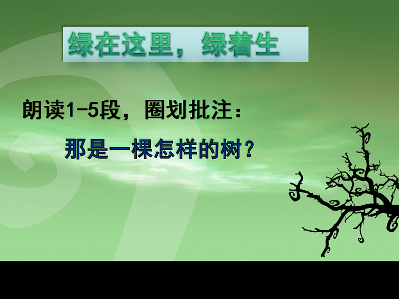 北师大版九年级下册第三单元比较与探究之《那树》课件 (共41张PPT)第3页