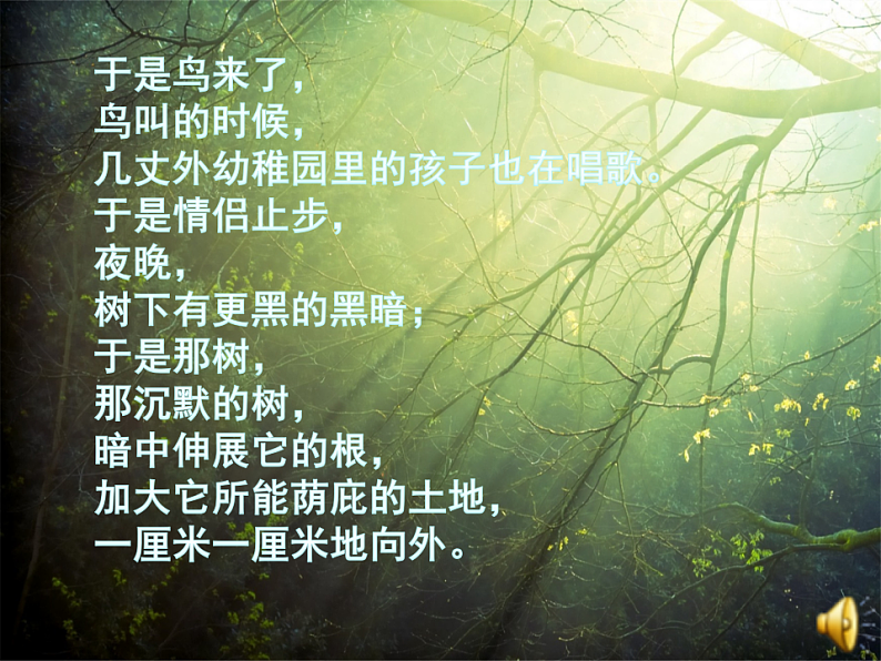 北师大版九年级下册第三单元比较与探究之《那树》课件 (共41张PPT)第5页