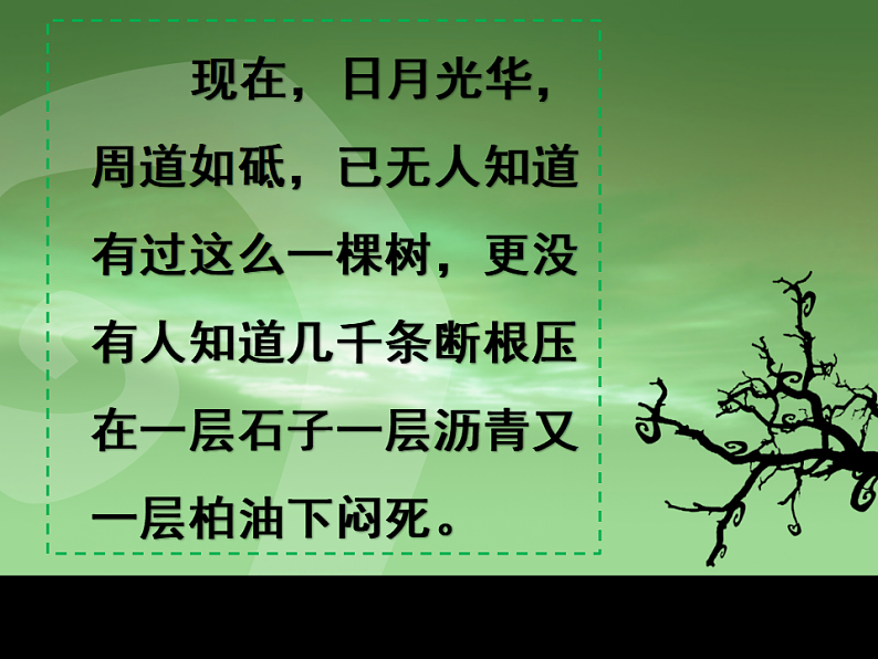 北师大版九年级下册第三单元比较与探究之《那树》课件 (共41张PPT)第8页