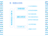 人教版道德与法治九年级下第一课 同住地球村复习课件（共42张PPT）