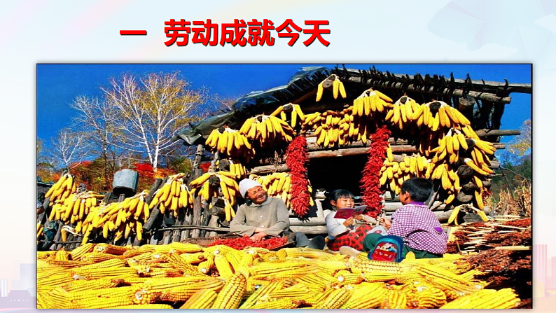 人教版道德与法治八年级上册 10.2 天下兴亡 匹夫有责 课件第4页