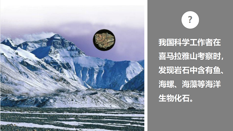 人教版地理七年级上册课件  2.2 海陆的变迁第3页