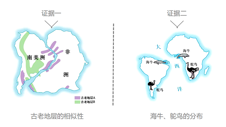 人教版地理七年级上册课件  2.2 海陆的变迁第8页