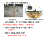 人教版 八年级上册 生物 第五单元 第四章 第四节 细菌和真菌自然界中的作用课件