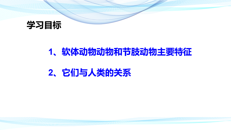 人教版八年级生物上册  5.1.3  软体动物和节肢动物课件第2页