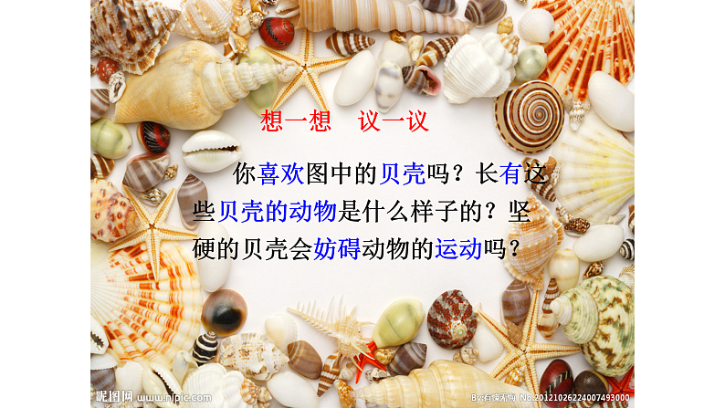 人教版八年级生物上册  5.1.3  软体动物和节肢动物课件第3页