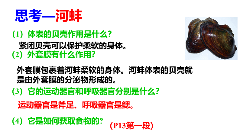 人教版八年级生物上册  5.1.3  软体动物和节肢动物课件第6页