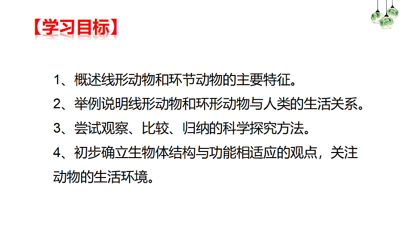 人教版生物八年级上册  5.1.2  线形动物和环节动物课件02