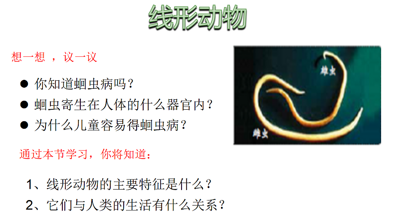 人教版生物八年级上册  5.1.2  线形动物和环节动物课件04