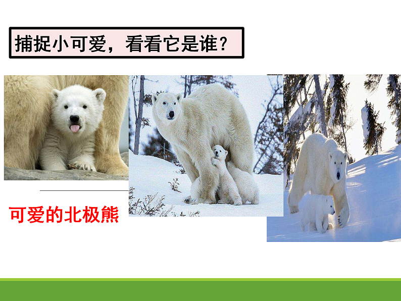 人教版道德与法治九年级下册 2.2 谋求互利共赢 课件（47张PPT）第7页